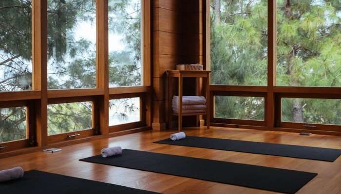 Dhensa Resort Punakha Faciliteiten foto